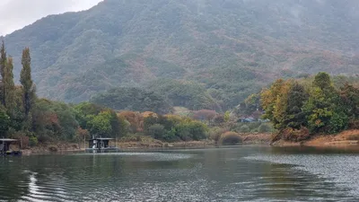 솔낚시터 가을 사짜 및 월척 조황소식입니다.