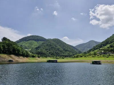용곡 김기호 낚시터 조황정보 입니다