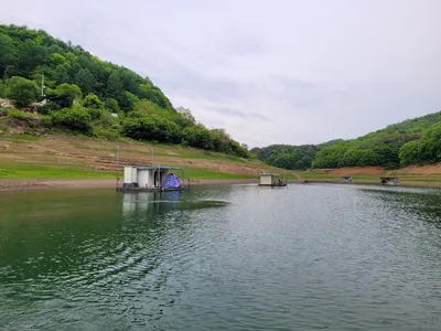 실리곡낚시터 42cm외 허리급 조황입니다.