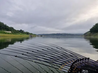 용곡 김기호 낚시터 조황정보 입니다