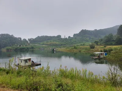 용곡 김기호 낚시터 허리급 조황 입니다