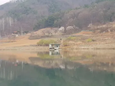 한버들 조황입니다