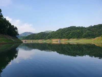실리곡낚시터 허리급 마릿수 조황입니다.