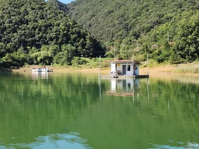 청풍 한버들 조황입니다