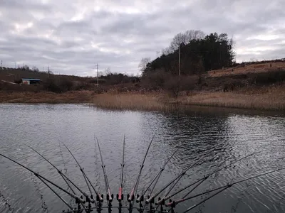 청풍 한버들 허리급및 월척들 호조황입니다