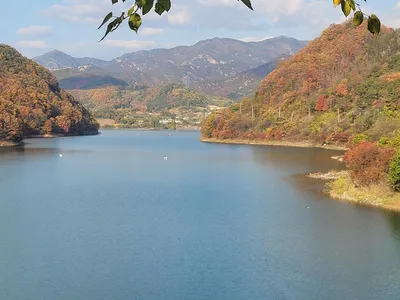실리곡낚시터 허리급  조황입니다.
