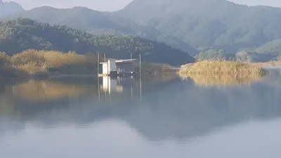 한버들 조황입니다