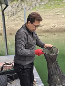 목벌 6월의시작