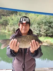 사오리 낚시터 조황정보