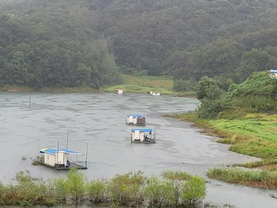 청풍실리곡낚시터 조황입니다.