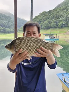 사오리 낚시터 조황정보