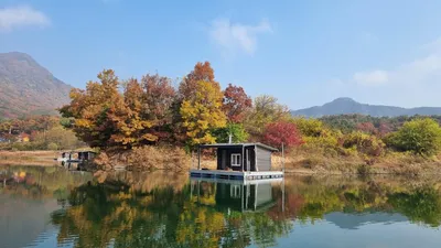 솔낚시터 조황소식입니다.