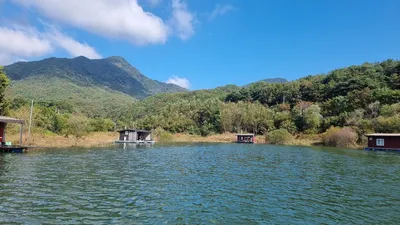 솔낚시터 조황 소식입니다.