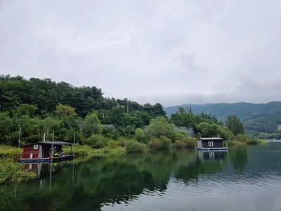 솔낚시터 조황소식 입니다.