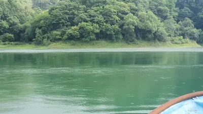 신매낚시터 7월 17일조황 