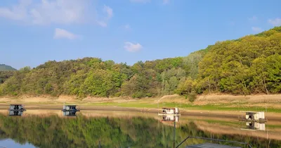 실리곡낚시터  허리급 조황입니다.