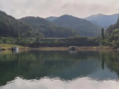 실리곡낚시터 41.5cm 조황입니다.