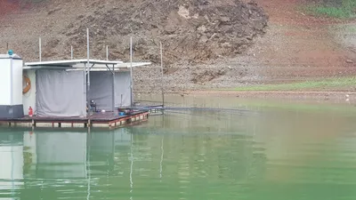 한버들 조황입니다