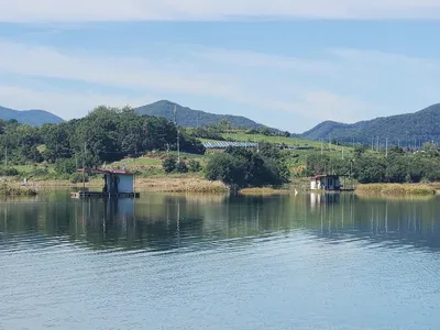 청풍 한버들 조황입니다