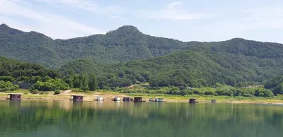 솔낚시터 조황입니다 