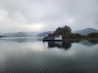 청풍 한버들 허릿급 조황입니다