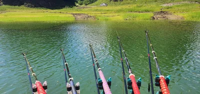 신매낚시터 7월 1일조황 