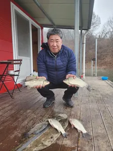 돌감낚시터 붕어조황입니다.