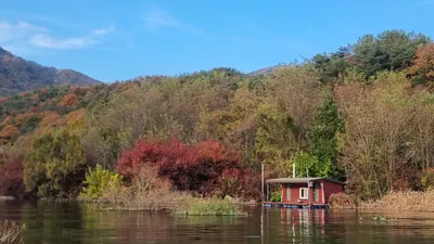 솔낚시터 조황 소식입니다.