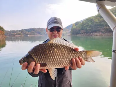 돌감낚시터 붕어4짜 조황입니다.