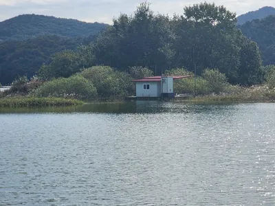 청풍 한버들 허릿급 조황입니다