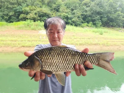 돌감낚시터 붕어조황입니다.