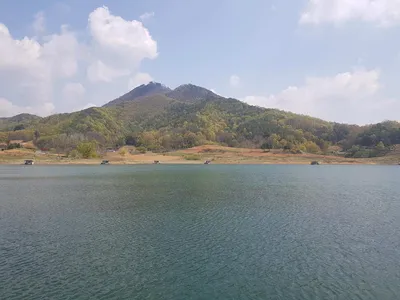 한버들 4짜 포함 허릿급 조황입니다