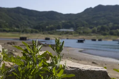 솔낚시터 조황소식 및 이벤트행사 알려드립니다!!