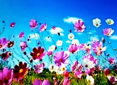 가을 오름수위를 기다리며