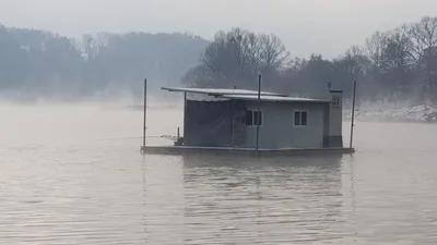 청풍 한버들 4짜및 월척 조황입니다
