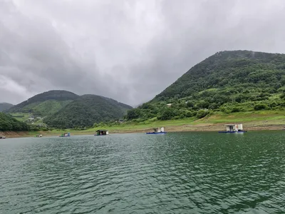용곡 김기호 낚시터 조황정보 입니다