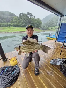 사오리낚시터 조황정보