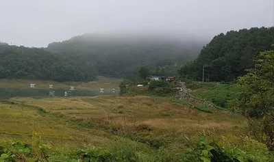 실리곡낚시터 37cm 조황입니다.