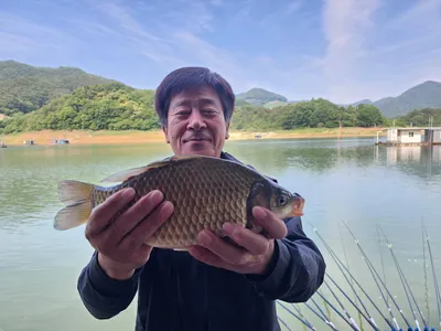 돌감낚시터 붕어조황입니다.