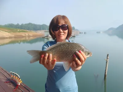 돌감낚시터 붕어조황입니다.