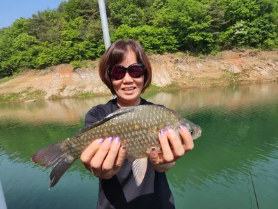 돌감낚시터 붕어조황입니다.