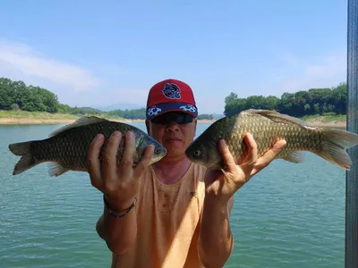 돌감낚시터 조황입니다.