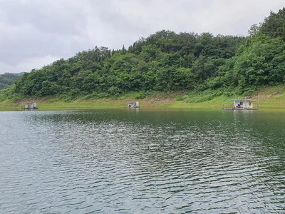 실리곡낚시터 4짜 3수.허리급 조황입니다.
