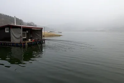 솔낚시터 조황소식 입니다.