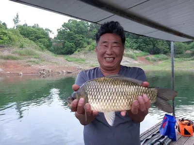 돌감낚시터 조황입니다.