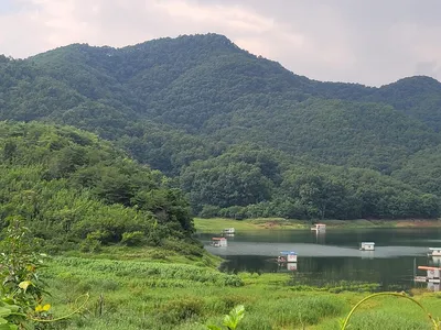 실리곡낚시터  4짜 조황입니다.