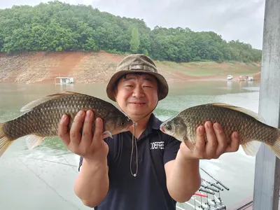 돌감낚시터 붕어조황입니다.
