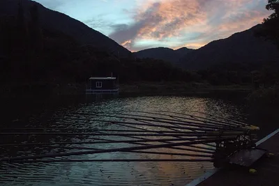 솔낚시터 조황소식입니다.