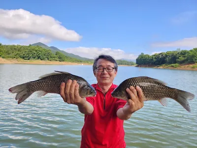 돌감낚시터 붕어조황입니다.