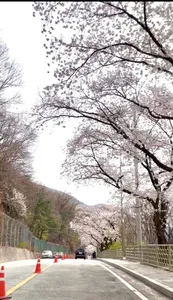 솔낚시터 조황소식입니다